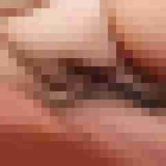 Baecker07