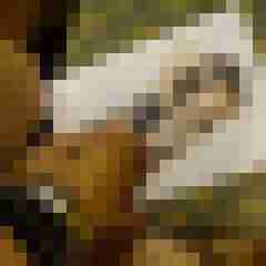 pimperion