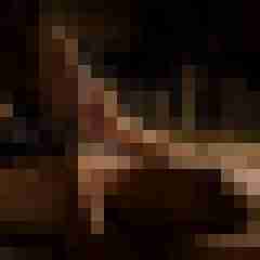 Phorus