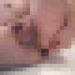 exib1