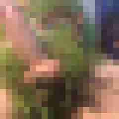 8 Bilder von McRonny1007