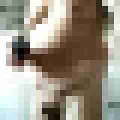 bikerfan666