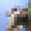 hansl_hans