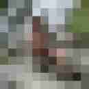2Schuetze