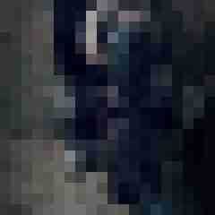 Eule_41