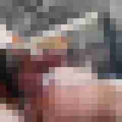--ZAGEL--