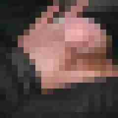 noctolus