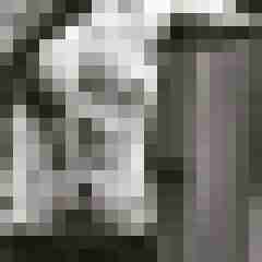 XXLDavid