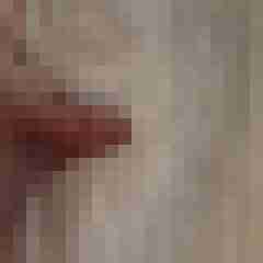 funratte