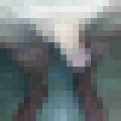 morits5m2