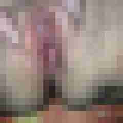 oralfan47