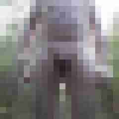 exib1