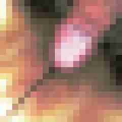 achimenjoy