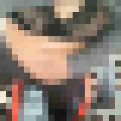 Mistbiene