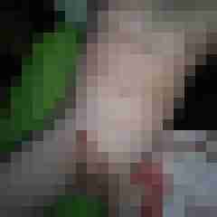 LustSpender81