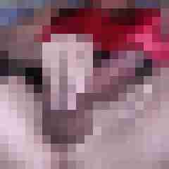 bipr37