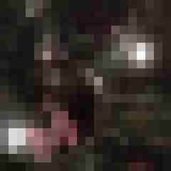 Mond84