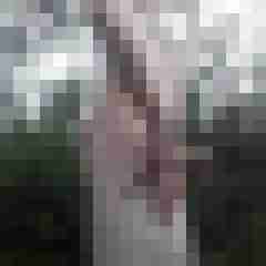 exib1