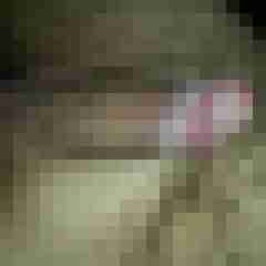 micha39erb