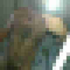 micha39erb