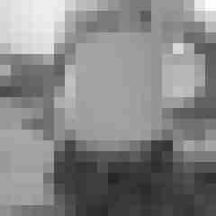 patte83
