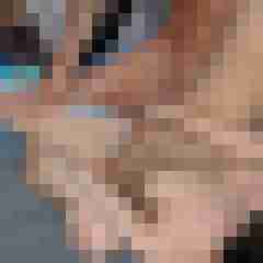 seemann0706
