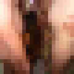 loveduett