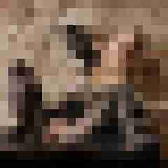 Phorus