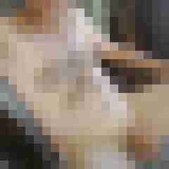 foodstuff