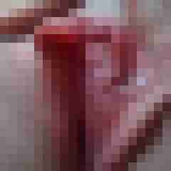 linchenx