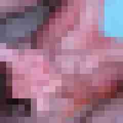 paars