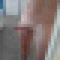 Soester77