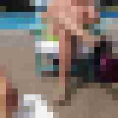 Bi_Dom_WD