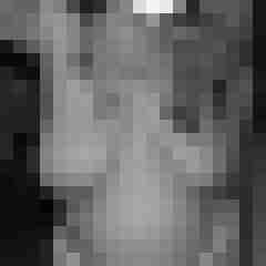 arschstute