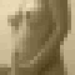 Eule_41