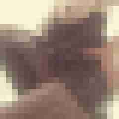 Eule_41