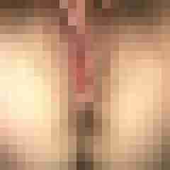 fbobbi