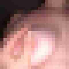 Flens_er