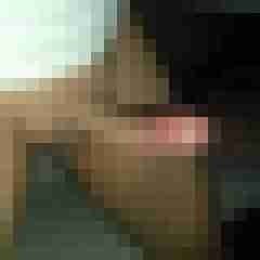 patte83