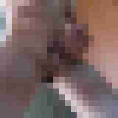 Gehorsam_1976