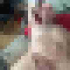 DOM-Lemmi