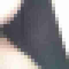 Bbw-Stute