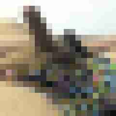 Marcello9223