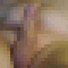 wilfried1234