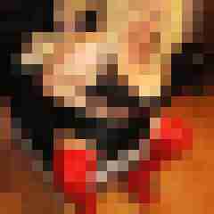 picturefreak