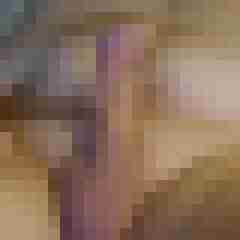wilfried1234
