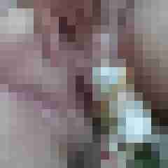 Bbw-Stute