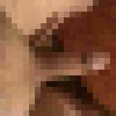 fbobbi
