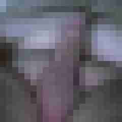 wilfried1234