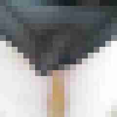 DWT_FAN